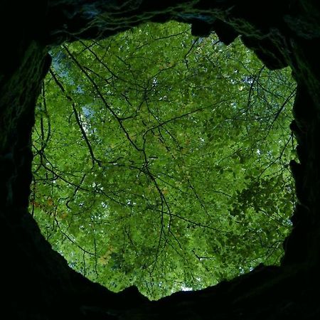 Espaco Origem Sintra Kültér fotó