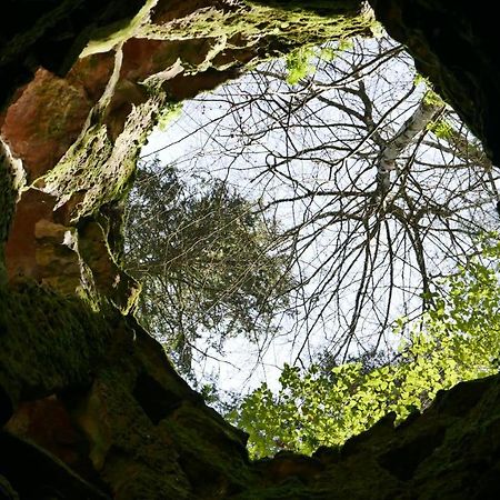 Espaco Origem Sintra Kültér fotó