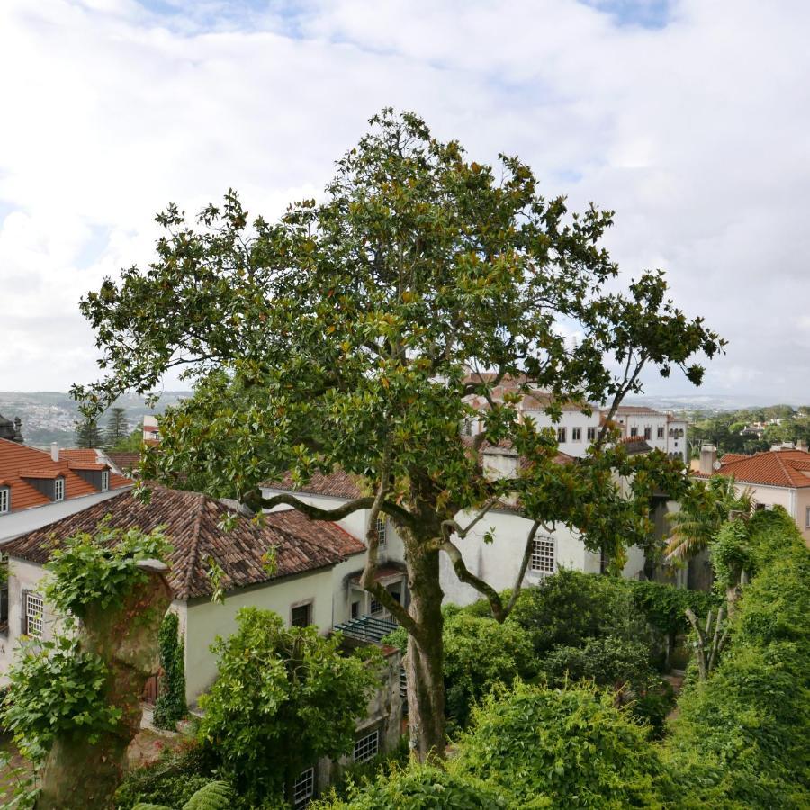 Espaco Origem Sintra Kültér fotó